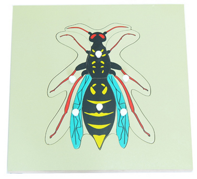 Wasp Puzzle